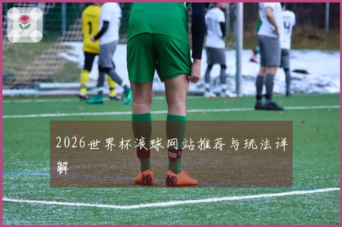 2026世界杯滚球网站推荐与玩法详解