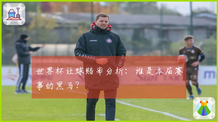 世界杯让球赔率分析：谁是本届赛事的黑马？