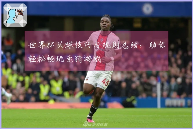 世界杯买球技巧与规则总结，助你轻松畅玩竞猜游戏