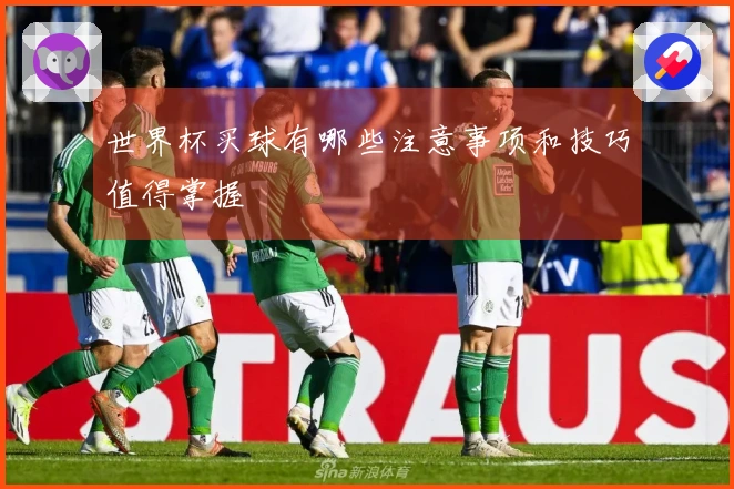 世界杯买球有哪些注意事项和技巧值得掌握