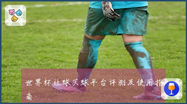 世界杯让球买球平台评测及使用指南