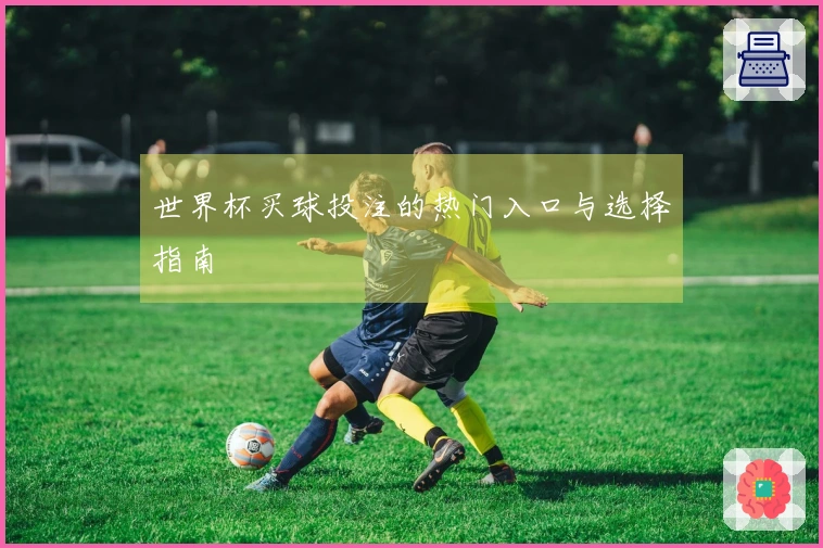 世界杯买球投注的热门入口与选择指南