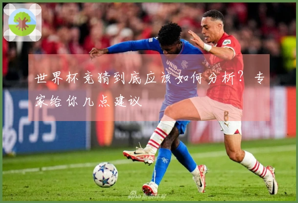 世界杯竞猜到底应该如何分析？专家给你几点建议