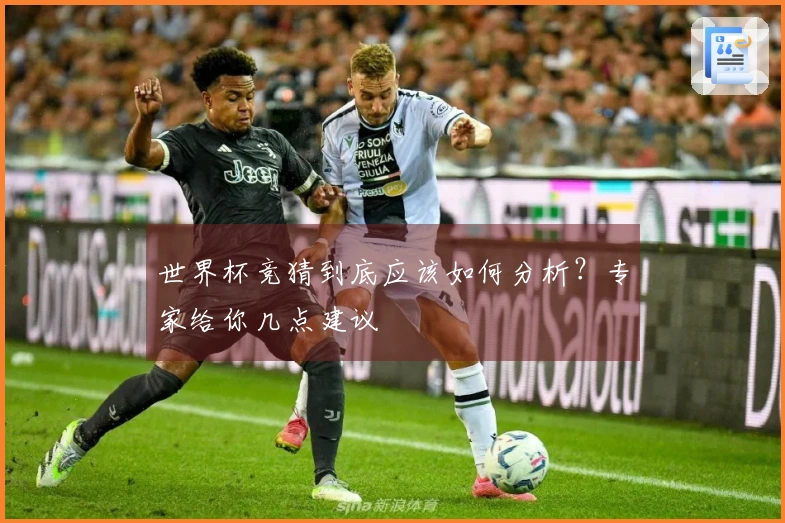 世界杯竞猜到底应该如何分析？专家给你几点建议