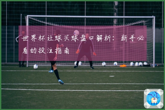 世界杯让球买球盘口解析：新手必看的投注指南