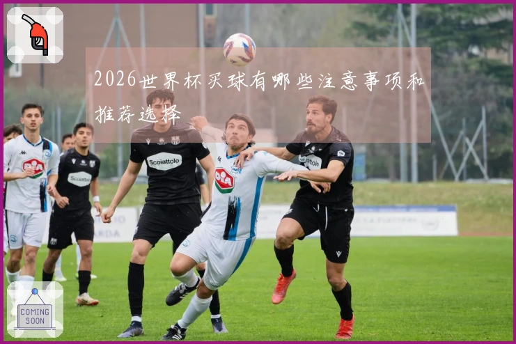 2026世界杯买球有哪些注意事项和推荐选择