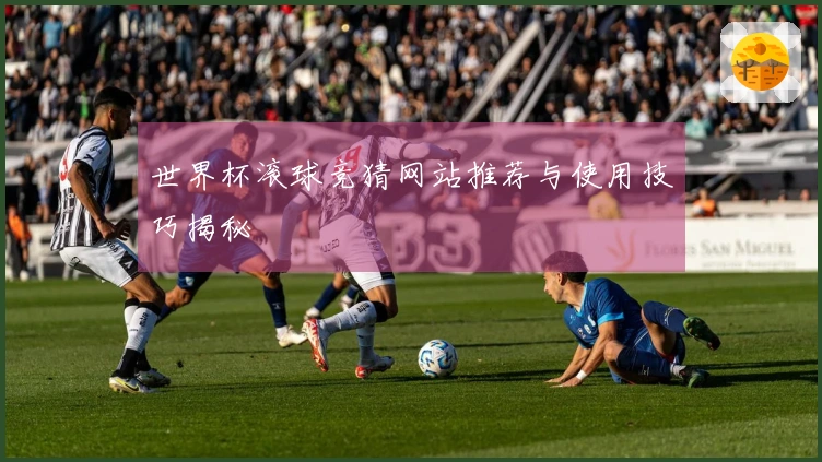 世界杯滚球竞猜网站推荐与使用技巧揭秘