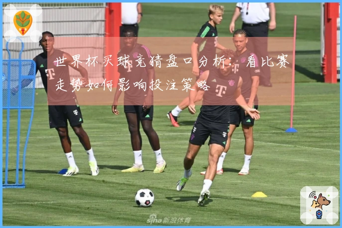 世界杯买球竞猜盘口分析：看比赛走势如何影响投注策略