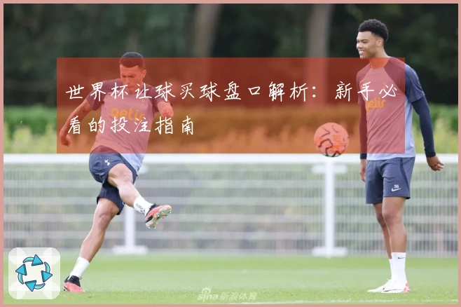 世界杯让球买球盘口解析：新手必看的投注指南