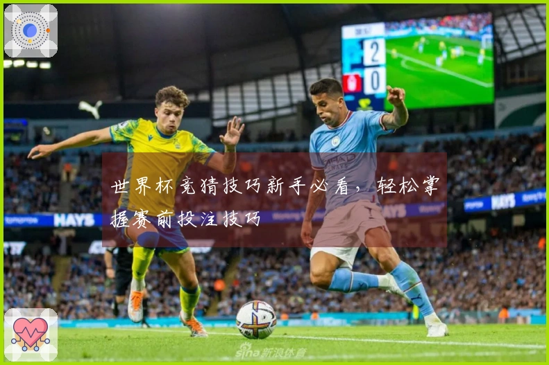世界杯竞猜技巧新手必看，轻松掌握赛前投注技巧