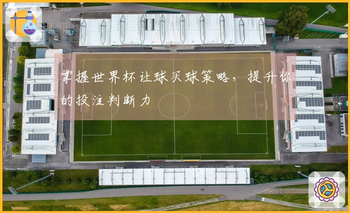 掌握世界杯让球买球策略，提升你的投注判断力
